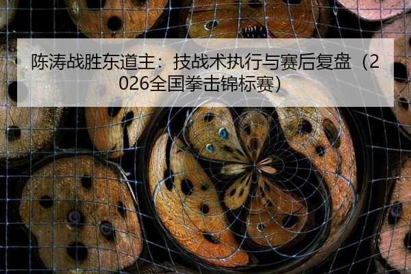 陈涛战胜东道主：技战术执行与赛后复盘（2026全国拳击锦标赛）